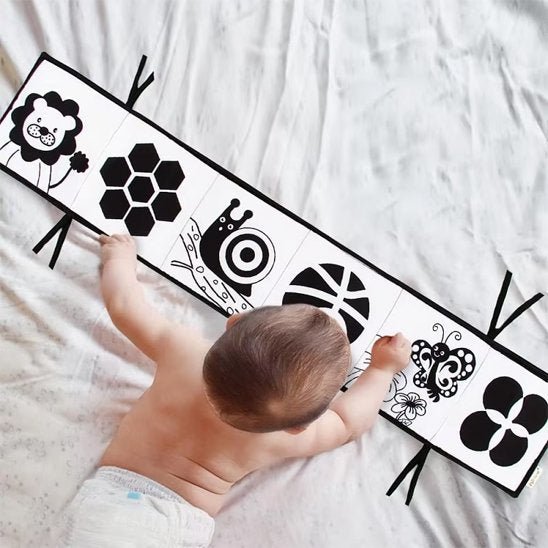 livre pour enfant forme évolutif