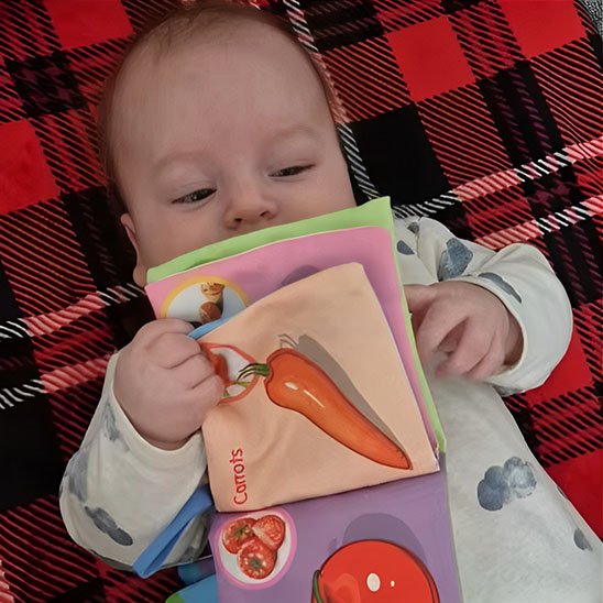 livre pour enfants carotte